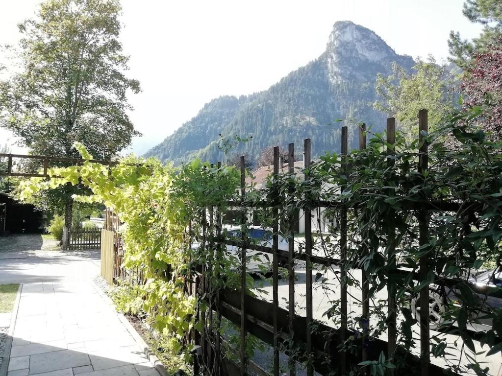 'Sissi' Ein Zaubehaftes Apartement Im Modernen Landhausstil โอเบอร์อัมเมอร์เกา ภายนอก รูปภาพ